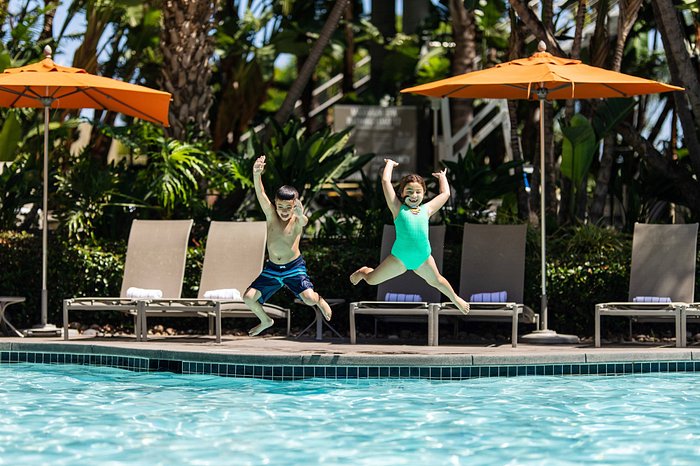 Marriott Bonvoy Gold Member Benefits and Exclusive Perks Explained